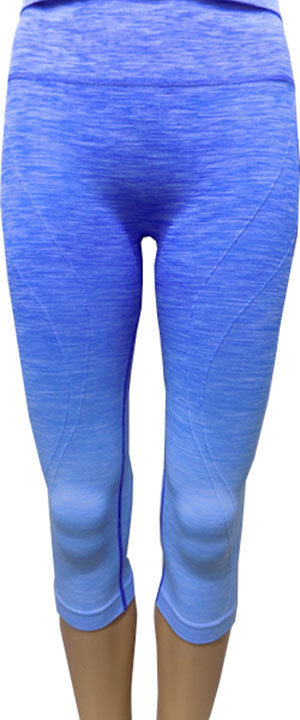 Dip Dye Blue Yoga Pants/Leggings