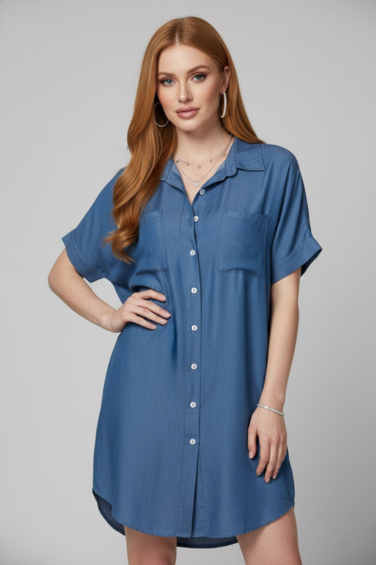 560 Chambray Ease Button-Down Dress